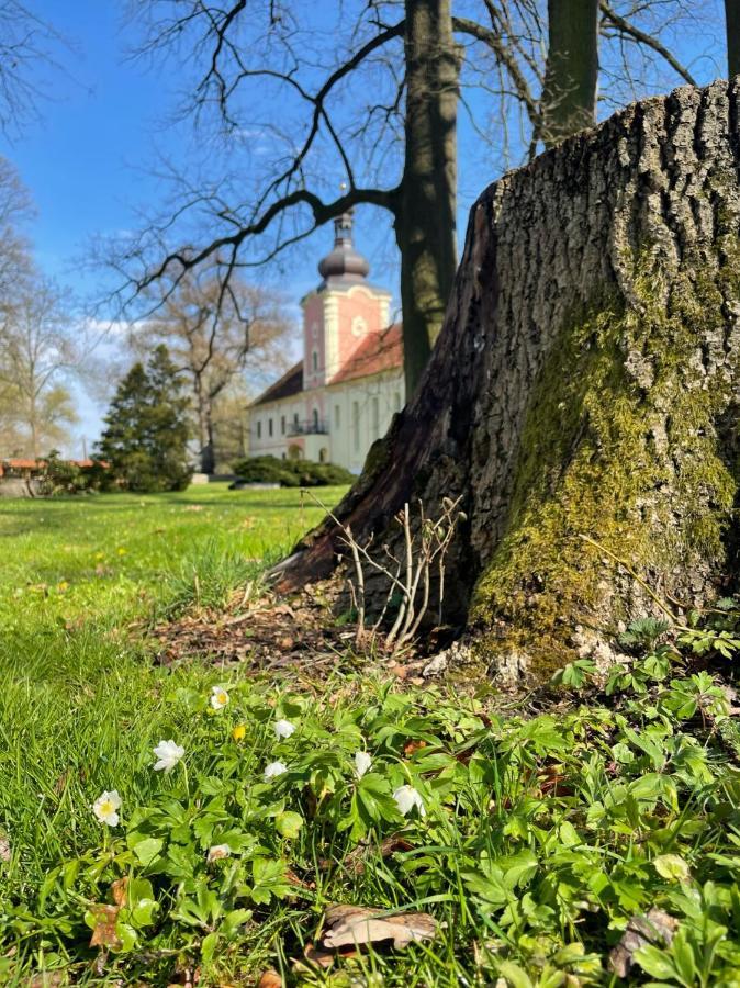 Penzion Zamek Lesany Netvořice Buitenkant foto