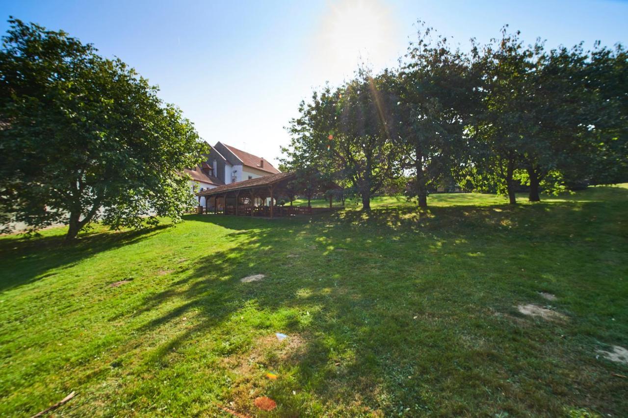 Penzion Zamek Lesany Netvořice Buitenkant foto