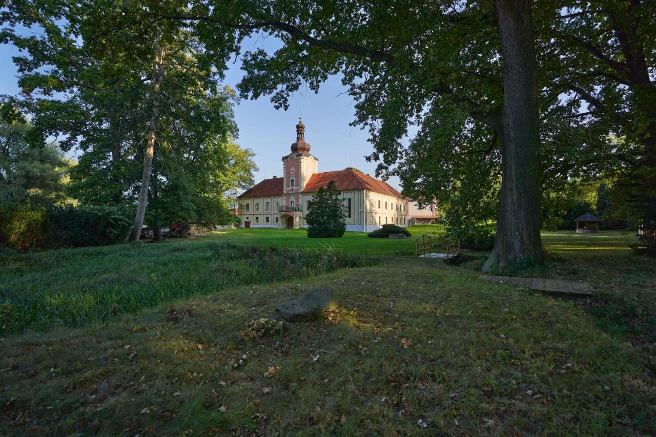 Penzion Zamek Lesany Netvořice Buitenkant foto