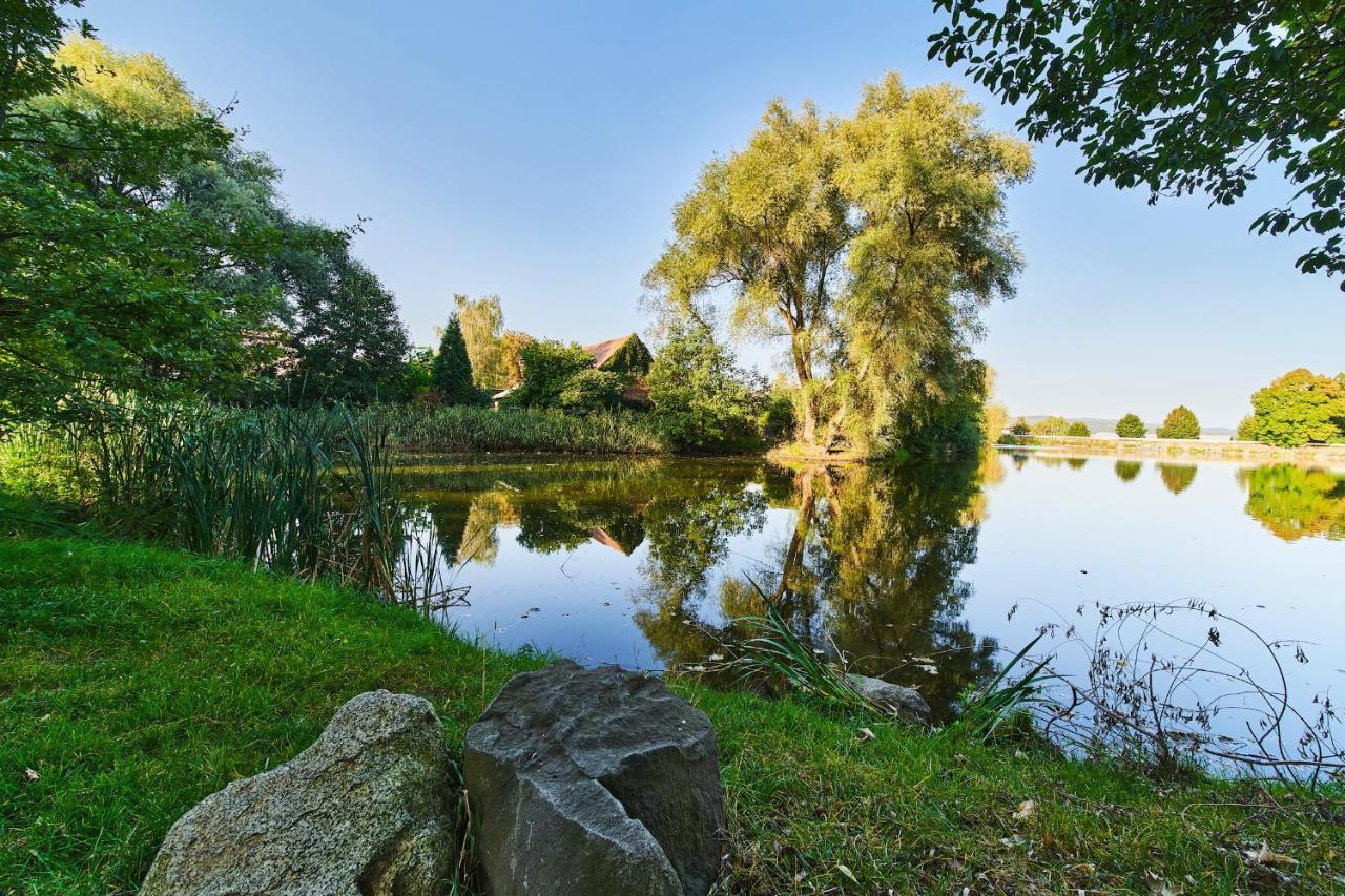 Penzion Zamek Lesany Netvořice Buitenkant foto