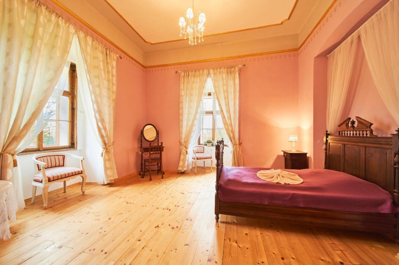 Penzion Zamek Lesany Netvořice Buitenkant foto