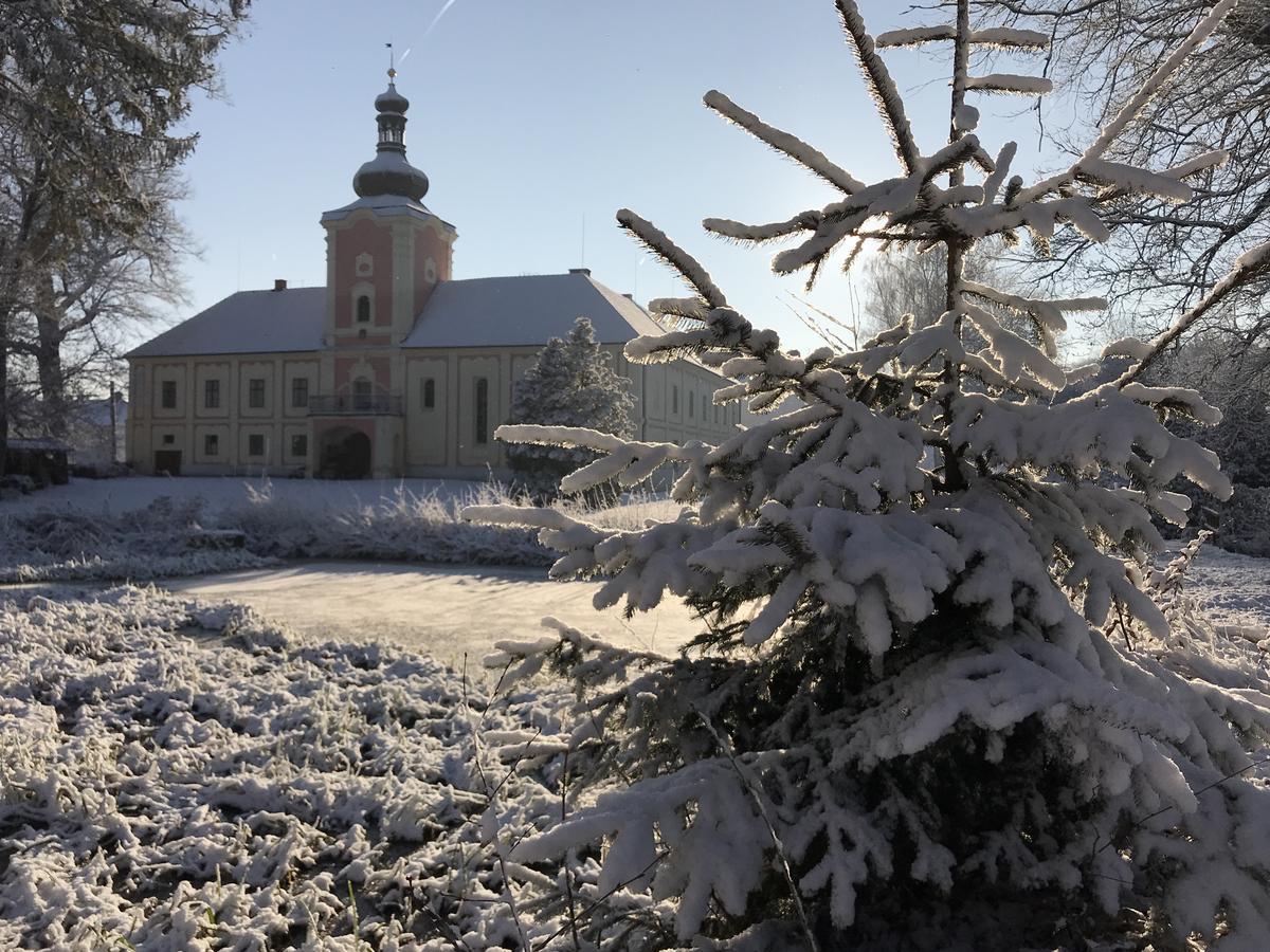 Penzion Zamek Lesany Netvořice Buitenkant foto